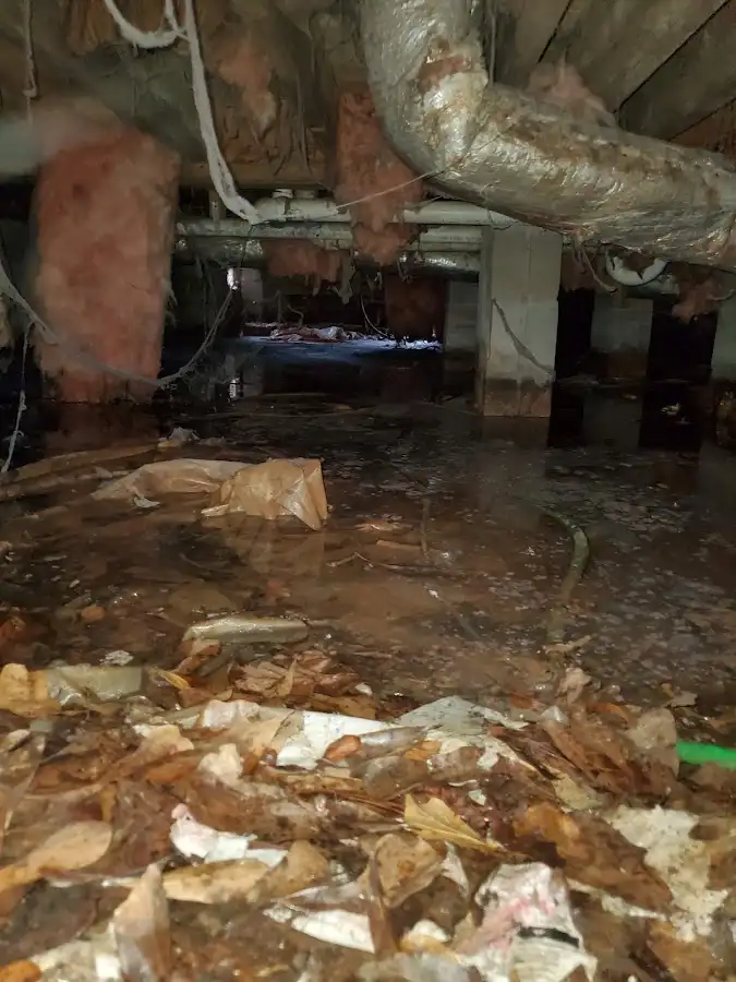 Crawl space flood assessment for Leak Detection & Repair in Interlaken