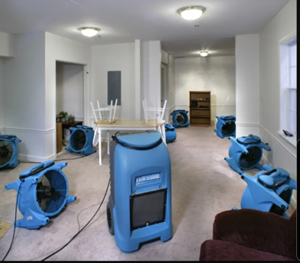 Air movers and dehumidifier setup for Water Extraction & Removal in Interlaken
